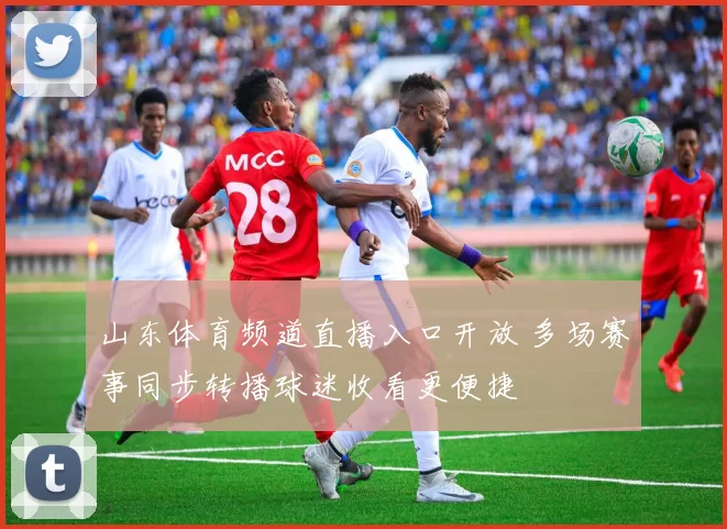山东体育频道直播入口开放 多场赛事同步转播球迷收看更便捷