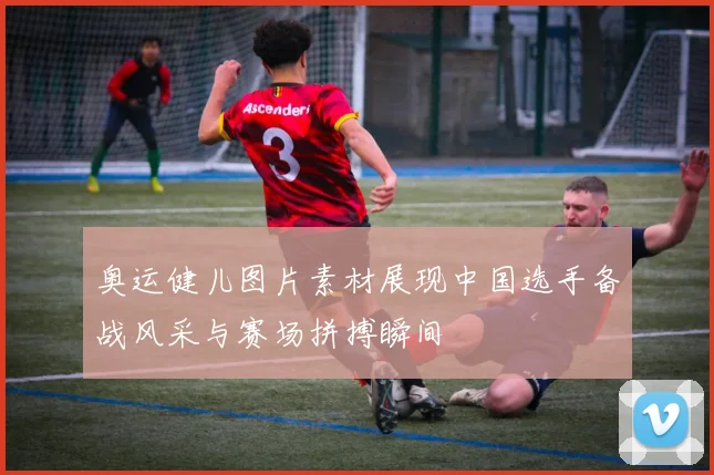 奥运健儿图片素材展现中国选手备战风采与赛场拼搏瞬间