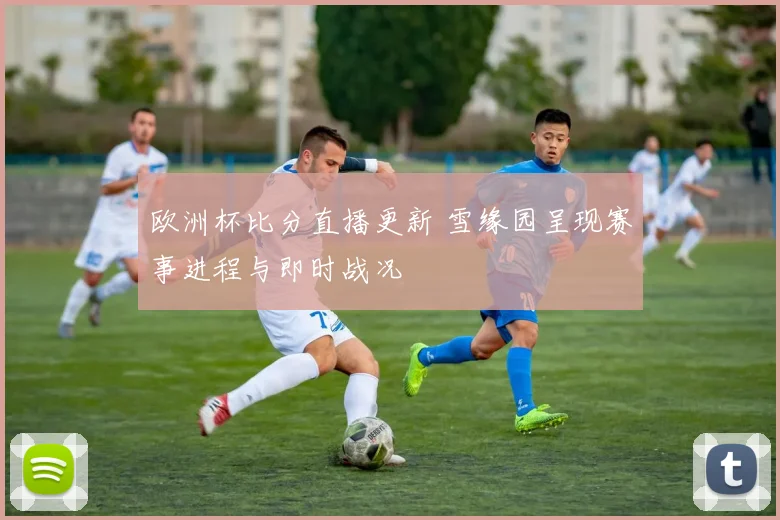 欧洲杯比分直播更新 雪缘园呈现赛事进程与即时战况
